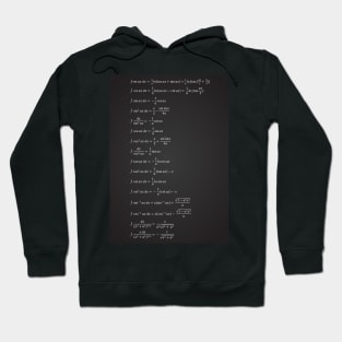 Indefinite Integral Hoodie